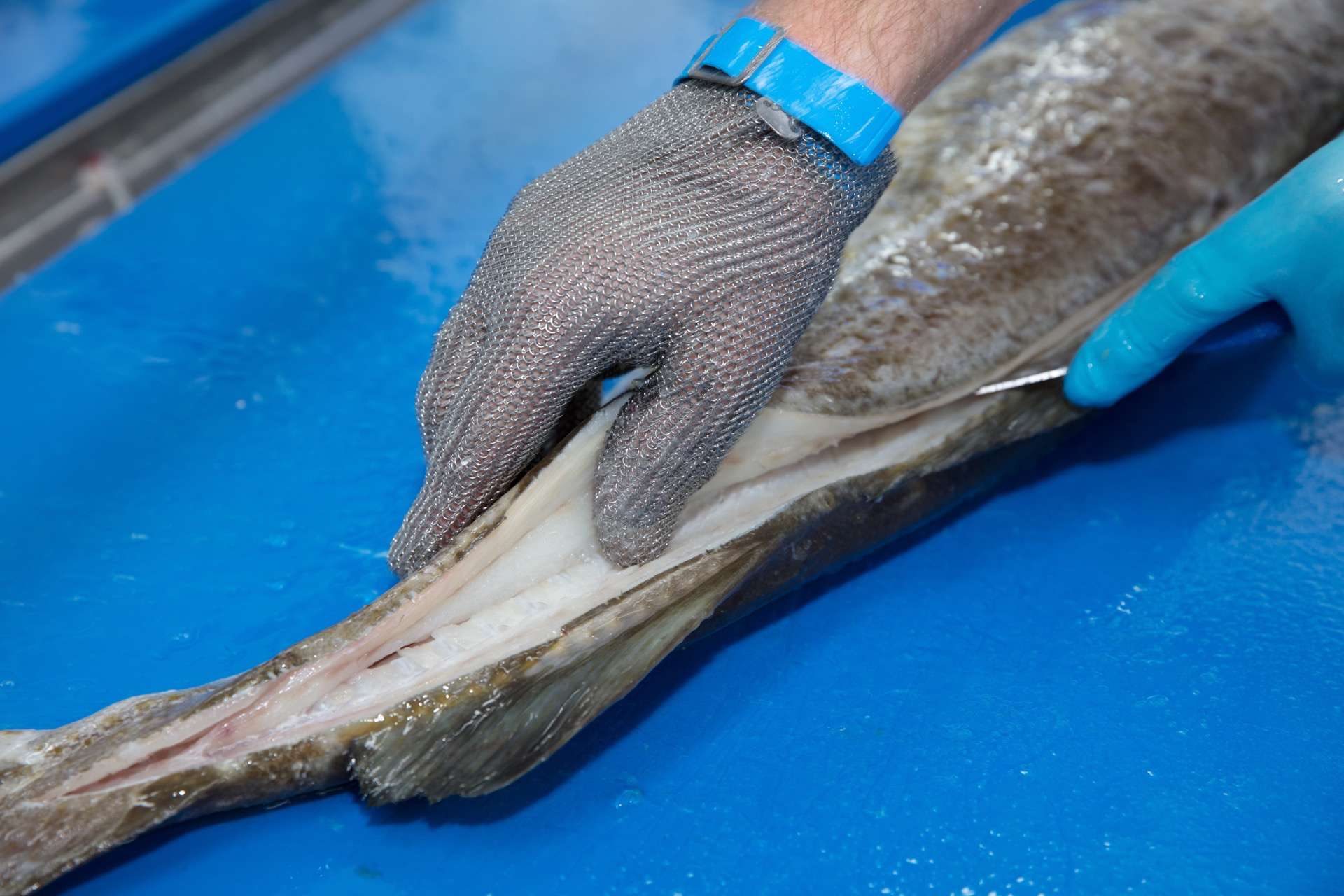 Over ons - Murko Seafood