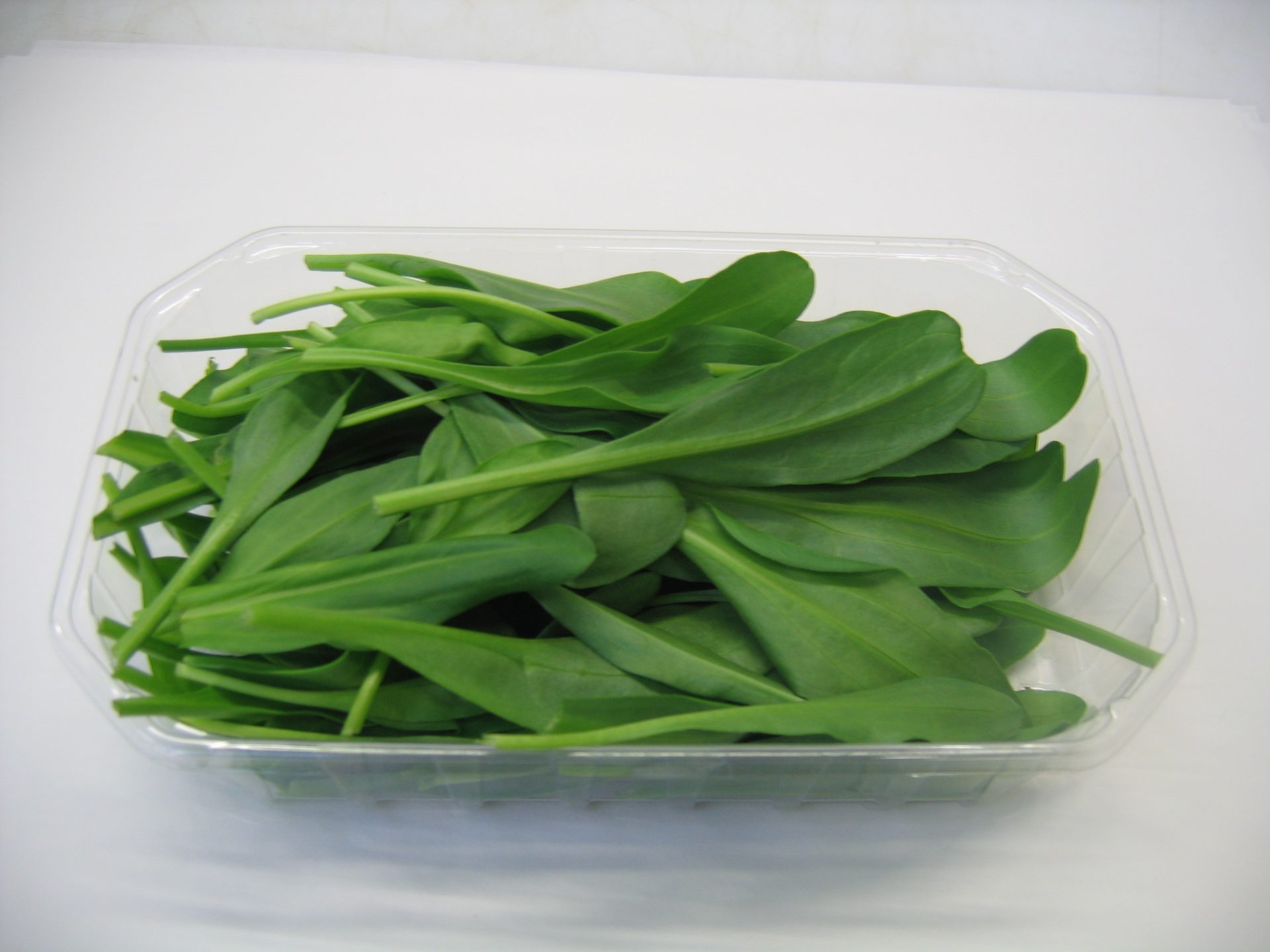 Lamsoor - Murko Seafood